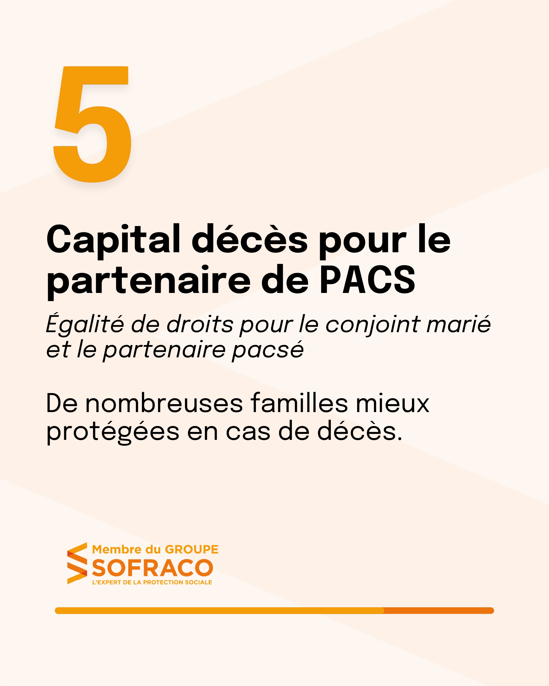 Carrousel-CARPIMKO-2025_1_pages-to-jpg-0006